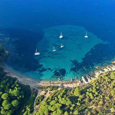 Découvrez La   the View  Cavalaire-sur-Mer